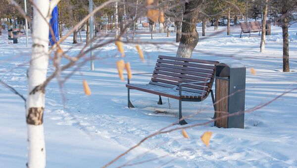 Зимний парк, лавочка, иллюстративное фото - Sputnik Қазақстан