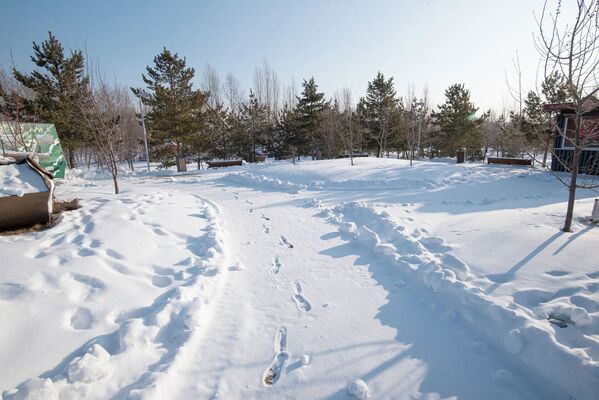 Зимний парк, дорога, иллюстративное фото - Sputnik Казахстан