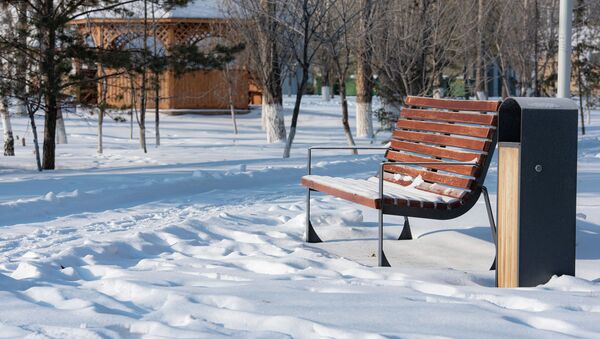 Зимний парк, иллюстративное фото - Sputnik Казахстан