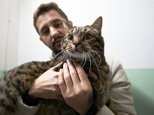 Михаил Галин со своим котом Виктором - Sputnik Казахстан