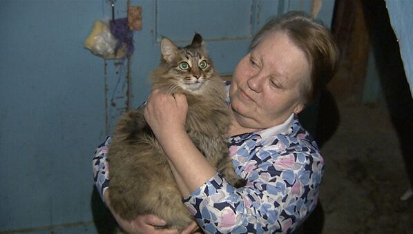 Кошка Маша, которая помогла спасти от холода ребенка в подъезде Обнинска - Sputnik Казахстан