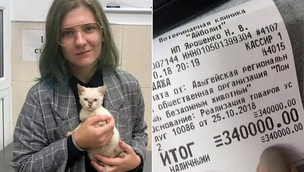 Студентка Анна, оплатившая задолженность приюта Бездомные животные Майкопа, со спасенным котенком - Sputnik Казахстан