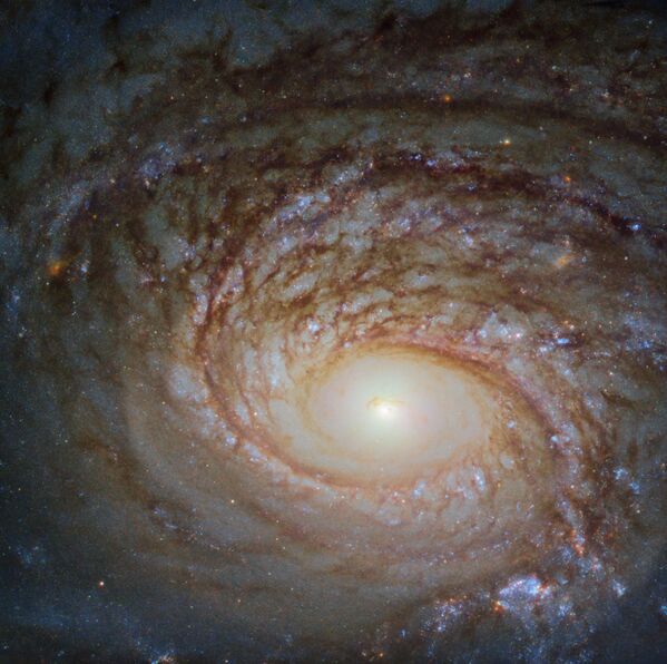 Спиральная галактика NGC 772 - Sputnik Казахстан