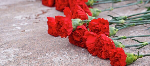 Гвоздики - Sputnik Казахстан