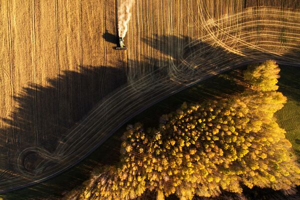 Уборка урожая зерновых в Новосибирской области - Sputnik Казахстан
