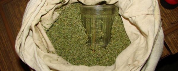 Марихуана Марихуана - Sputnik Казахстан