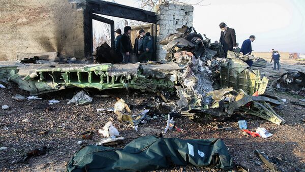 Украинский лайнер со 180 пассажирами рухнул у тегеранского аэропорта. Фото с места трагедии - Sputnik Казахстан