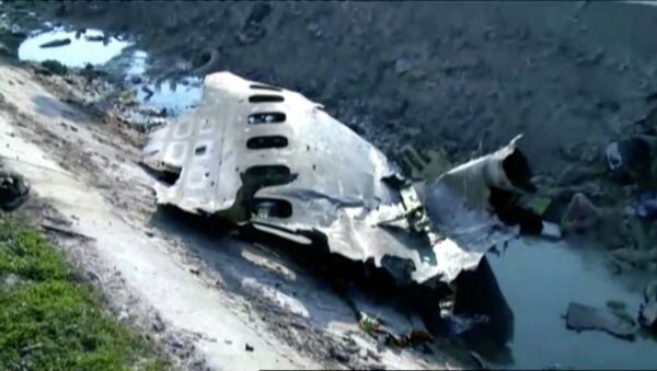 Украинский лайнер со 180 пассажирами рухнул у тегеранского аэропорта. Фото с места трагедии - Sputnik Қазақстан