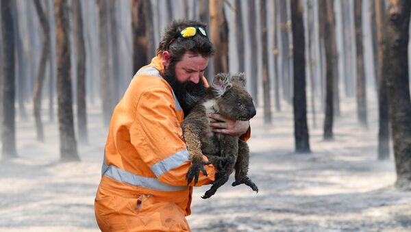 Австралийский пожарный со спасенной коалой - Sputnik Казахстан