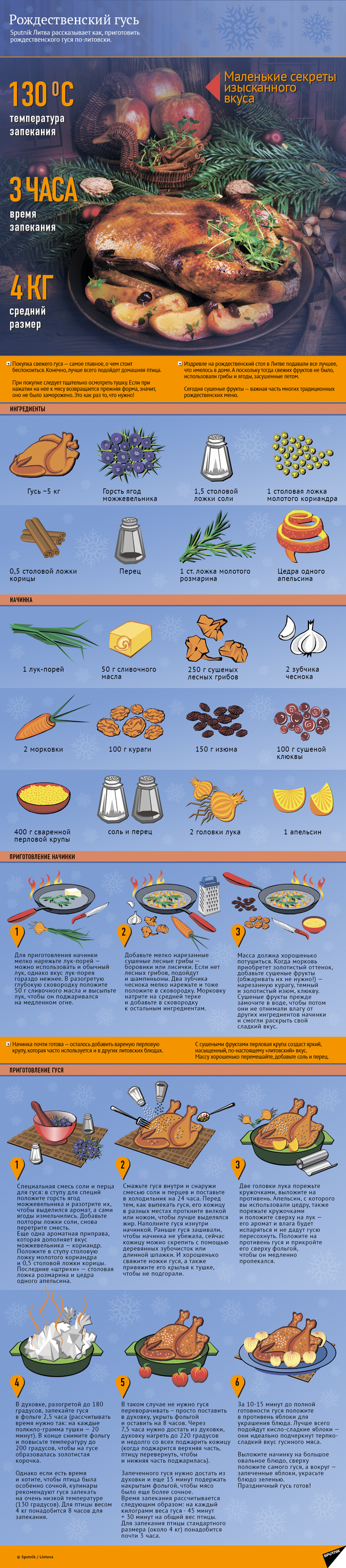 Рецепт рождественского гуся - Sputnik Казахстан