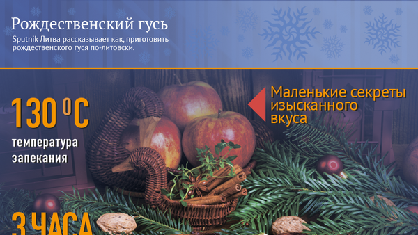 Рецепт рождественского гуся - Sputnik Казахстан