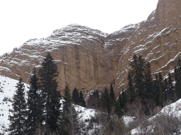 Отшельник 30 лет живет в горах Алматинской области - зачем ему гроб на чердаке Отшельник 30 лет живет в горах Алматинской области - зачем ему гроб на чердаке - Sputnik Казахстан