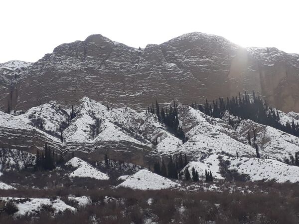 Отшельник 30 лет живет в горах Алматинской области - зачем ему гроб на чердаке Отшельник 30 лет живет в горах Алматинской области - зачем ему гроб на чердаке - Sputnik Казахстан