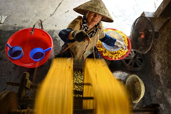 Вьетнамская женщина во время получения шелковых нитей во Вьетнаме  - Sputnik Казахстан