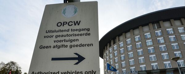 Вид на здание Организации по запрещению химического оружия в Гааге. - Sputnik Қазақстан