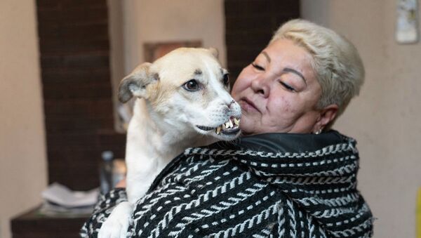 Эльмира Муллаходжаева с собакой Нюшей, которой отрезали нос - Sputnik Казахстан