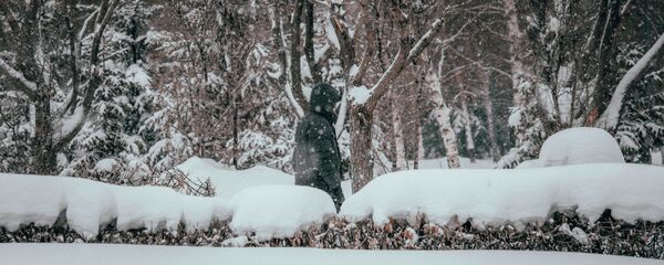 Аномальные снегопады в Нур-Султане - Sputnik Казахстан