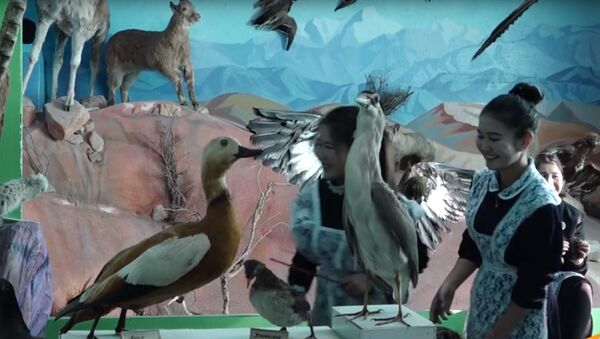 Местные жители приносят учителю мертвых животных — видео о необычном музее КР  - Sputnik Казахстан