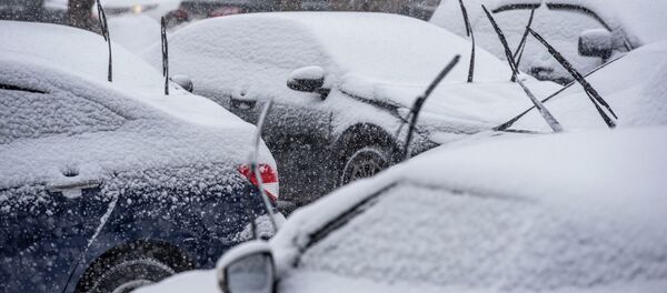 Снегопад в феврале - Sputnik Казахстан