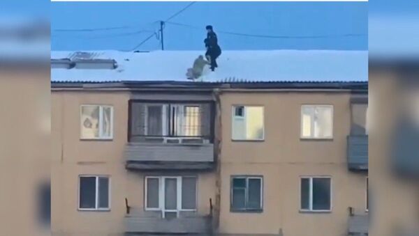 Полицейские спасли карагандинца, забравшегося на крышу - Sputnik Қазақстан