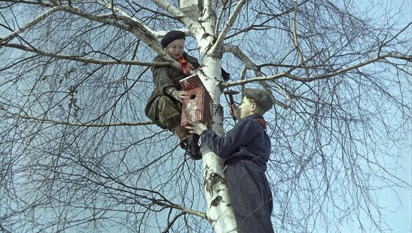 Дети устанавливают скворечники, 1960 год - Sputnik Казахстан