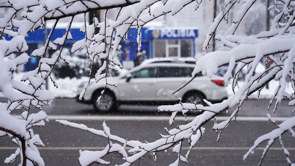 Снег в Алматы - Sputnik Казахстан