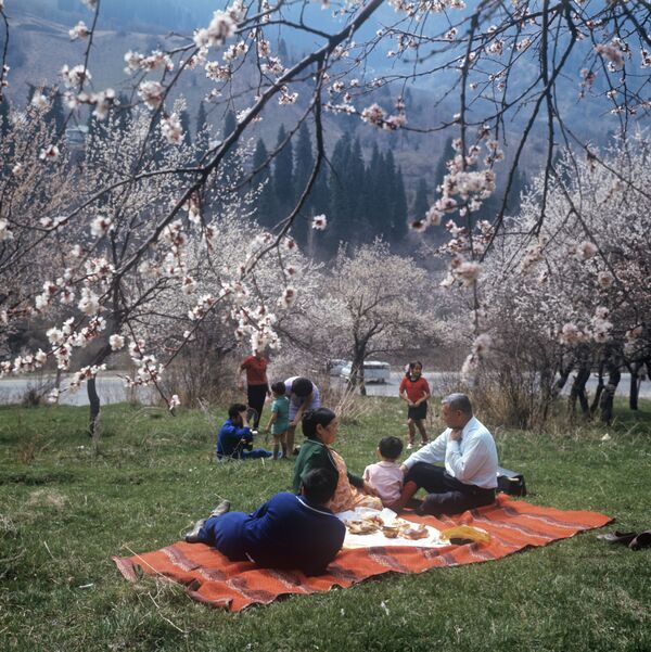Пикник в горах Заилийского Алатау. 1971 год - Sputnik Казахстан