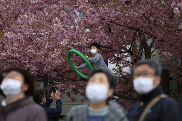 Люди в масках на фестивале цветения вишни в Японии  - Sputnik Казахстан
