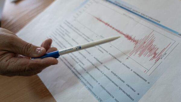 Землетрясение на графике сейсмологов - Sputnik Казахстан