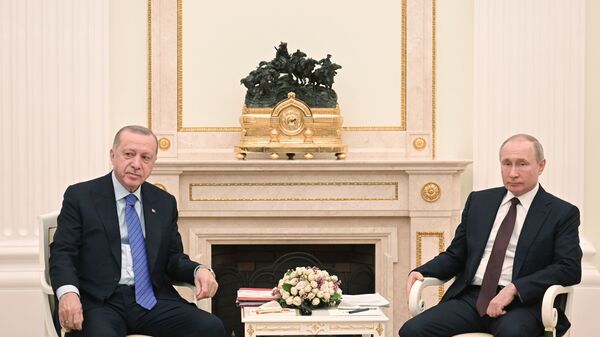 Президент РФ Владимир Путин встретился с президентом Турции Реджепом Эрдоганом - Sputnik Қазақстан