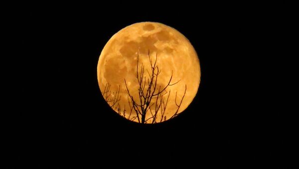 Полная луна в небе над Вашингтоном  - Sputnik Қазақстан