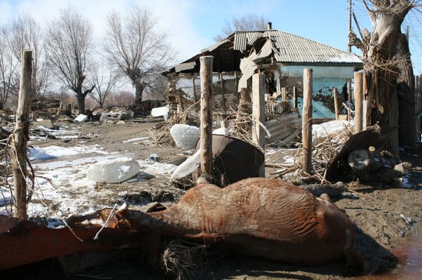 Наводнение в Кызылагаше: как выглядит поселок спустя 10 лет после трагедии Наводнение в Кызылагаше: как выглядит поселок спустя 10 лет после трагедии - Sputnik Казахстан