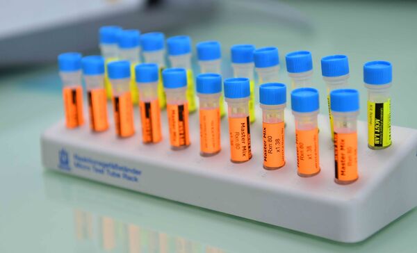 Тоқаев қазақстандықтарды қайғыға салынбауға шақырды Тоқаев қазақстандықтарды қайғыға салынбауға шақырды - Sputnik Қазақстан