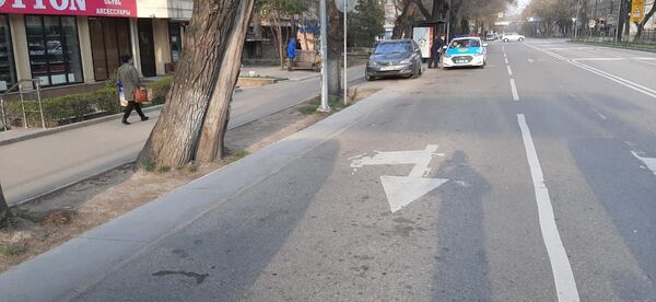 Автобус протащил выпавшую пенсионерку несколько метров в Алматы: женщина в коме Автобус протащил выпавшую пенсионерку несколько метров в Алматы: женщина в коме - Sputnik Казахстан