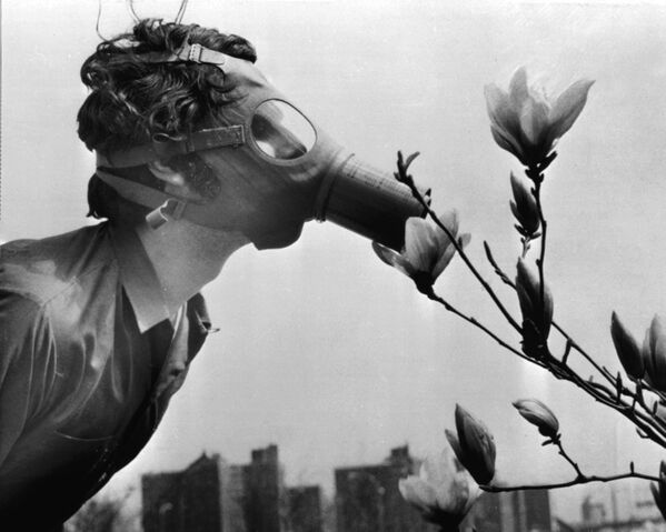 Студент в противогазе нюхает цветок во время демонстрации на День Земли, США, 1970 год - Sputnik Казахстан