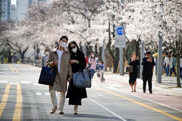 Пара в медицинских масках на фоне цветущей Сакуры на одной из улиц Сеула, Южная Корея - Sputnik Казахстан
