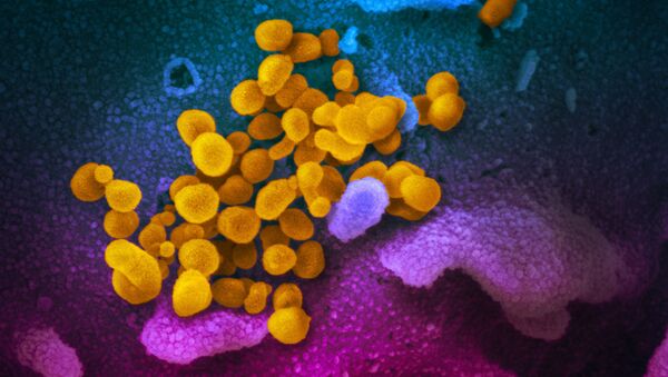 Цветное изображение нового коронавируса SARS-CoV-2  - Sputnik Қазақстан