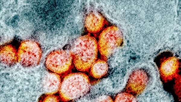 Микрофотография частиц коронавируса в клетке зараженного человека - Sputnik Қазақстан