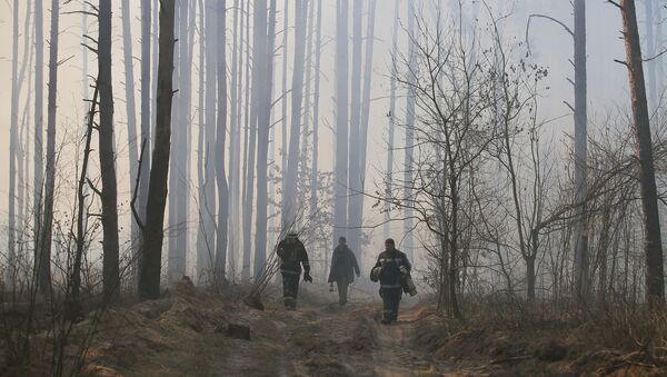 Пожар в зоне отчуждения Чернобыльской АЭС - Sputnik Казахстан