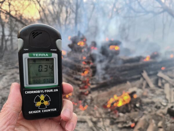 Замеры радиации в горящем лесу полосы отчуждения Чернобыльской АЭС - Sputnik Казахстан