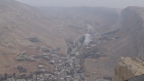 Сирийская армия взяла под контроль источник пресной воды в окрестностях Дамаска - Sputnik Казахстан