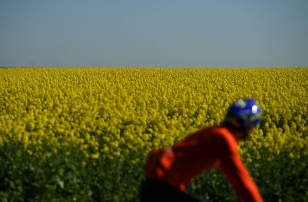 Велосипедист едет мимо цветущего поля в Великобритании - Sputnik Казахстан