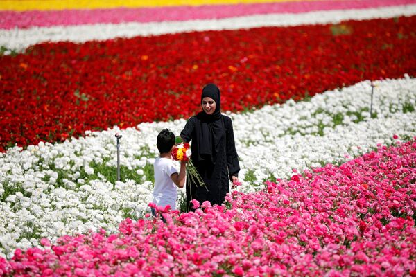 Мальчик с букетом на поле цветов в Израиле - Sputnik Казахстан
