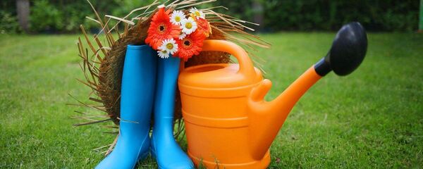 Дача Дача - Sputnik Казахстан