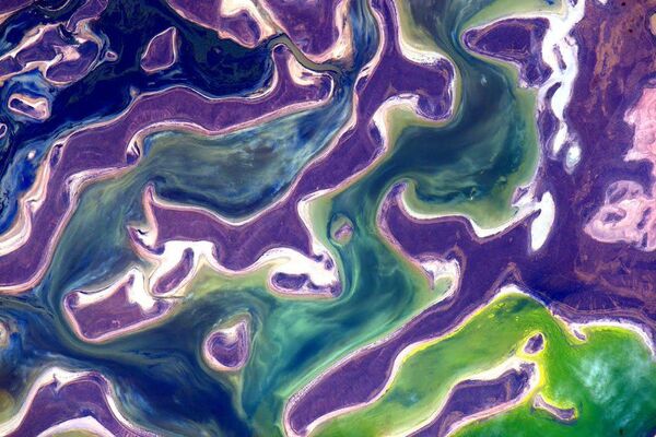 Снимок озера Тенгиз в Казахстане, сделанный американским астронавтом Скоттом Келли с борта МКС  - Sputnik Казахстан