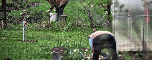 Дача - Sputnik Казахстан