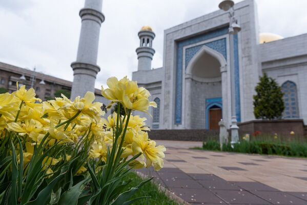 Тюльпаны у мечети в Алматы  - Sputnik Казахстан