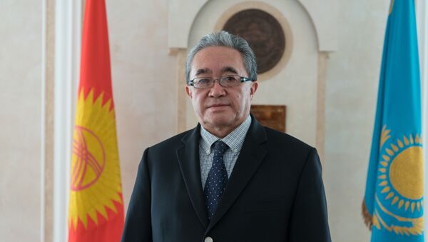 Временный поверенный в делах посольства Кыргызской Республики в РК Кайнарбек Токтомушев - Sputnik Казахстан