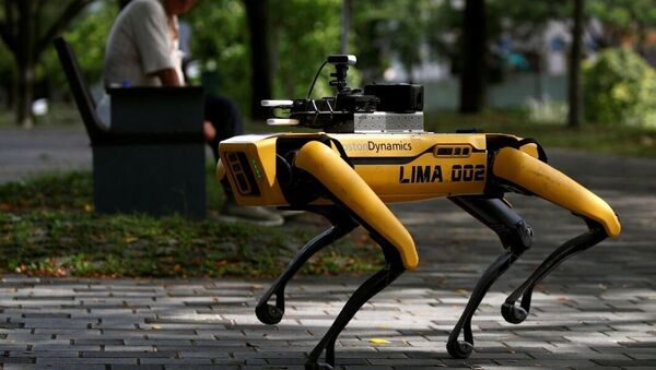 Собака-робот в Сингапуре - Sputnik Казахстан