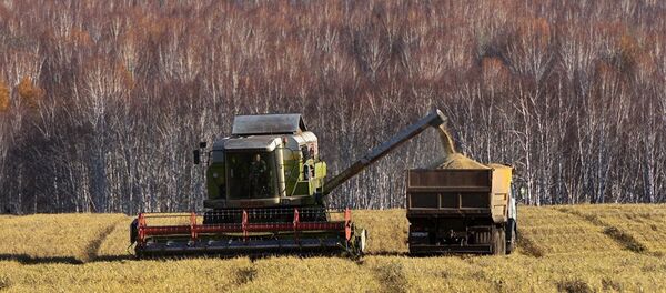 Астықты жинау, Архивтегі сурет - Sputnik Қазақстан